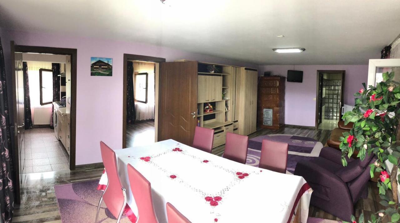 Casa De La Lac Sighetu Marmaţiei Eksteriør billede